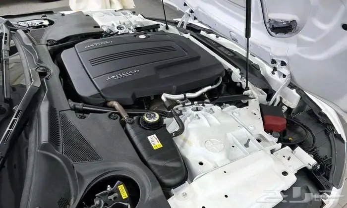 جاكوار F-Type 2021 - وارد كوريا 5