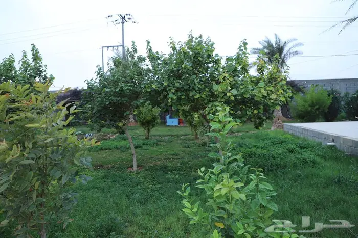 مصور درون جوي عفيف الطائف شقراء الدوادمي ظلم 8