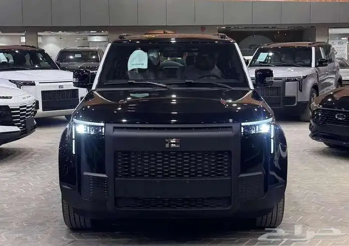 روكس VIP 01 موديل 2025 0