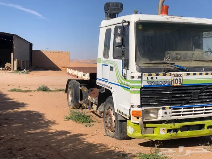راس فلفو مديل 96 مسقط للبيع 0