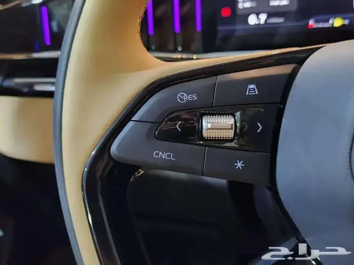 جيلي ستار راي 2024 فل كامل بلس كاش اقساط ع جميع البنوك 13