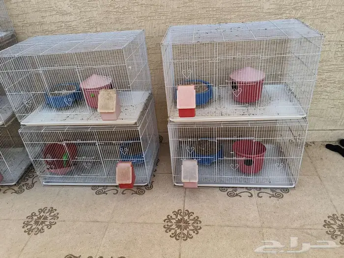 اقفاص طيور مقاس 610 عرض 2 0