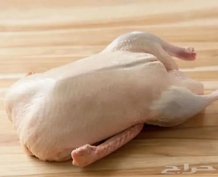 بط بكيني مذبوح وغير مذبوح 0