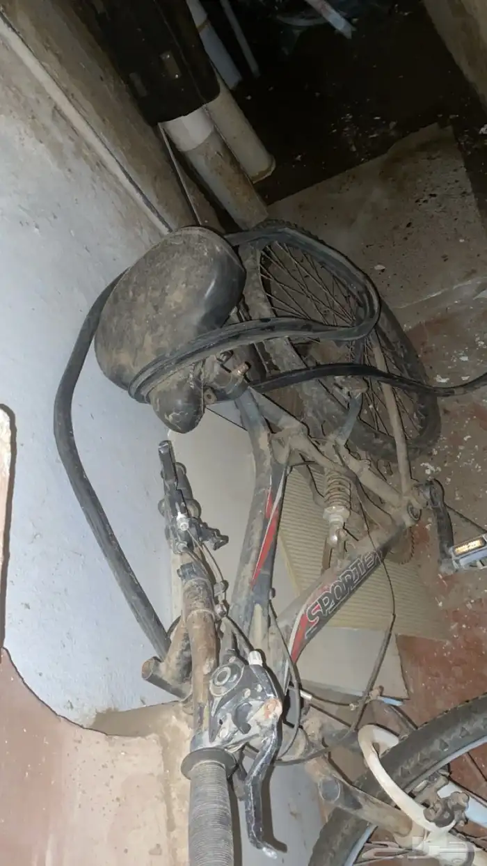 سيكل مسطره وكوبره نظيفه مره 0