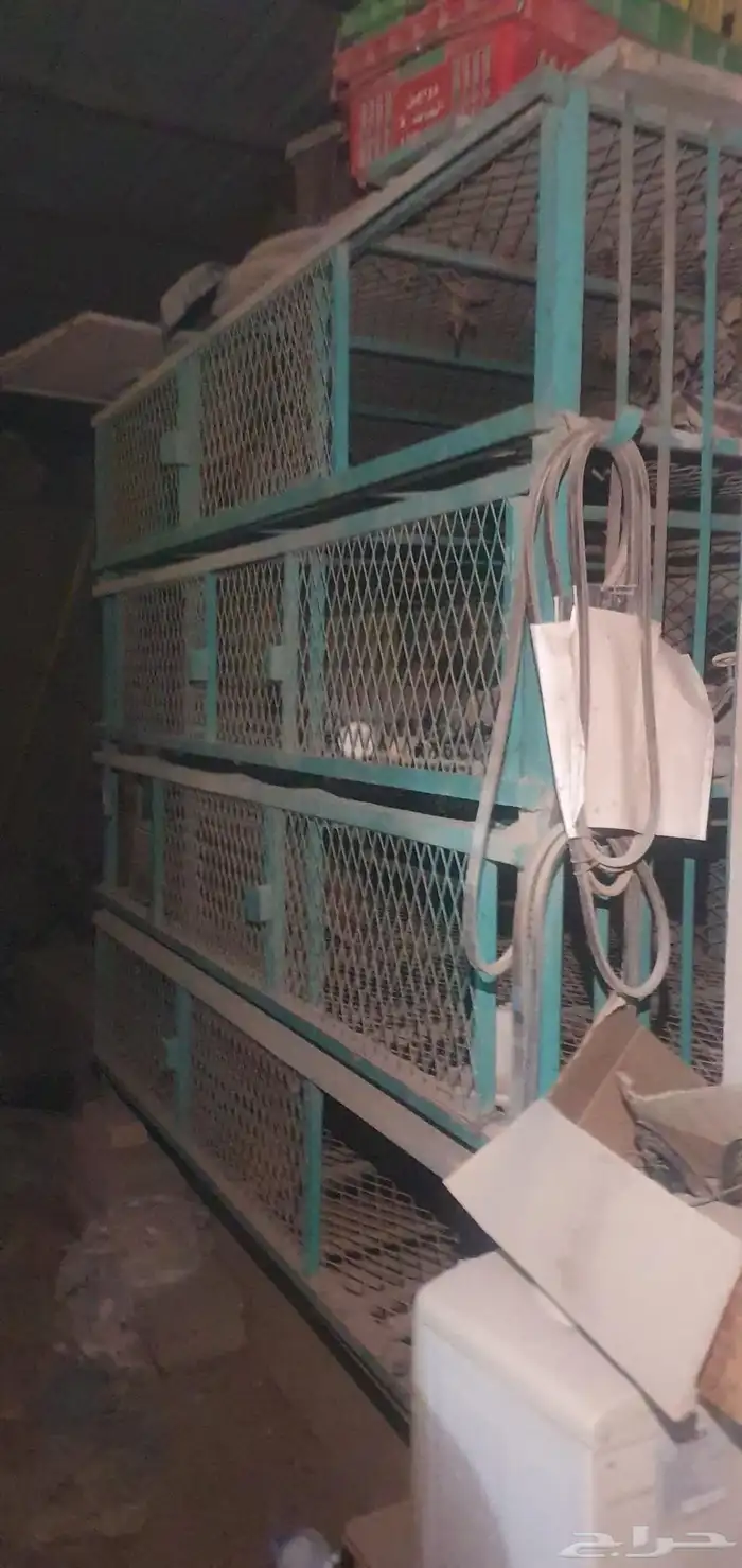 حديد سكراب 0