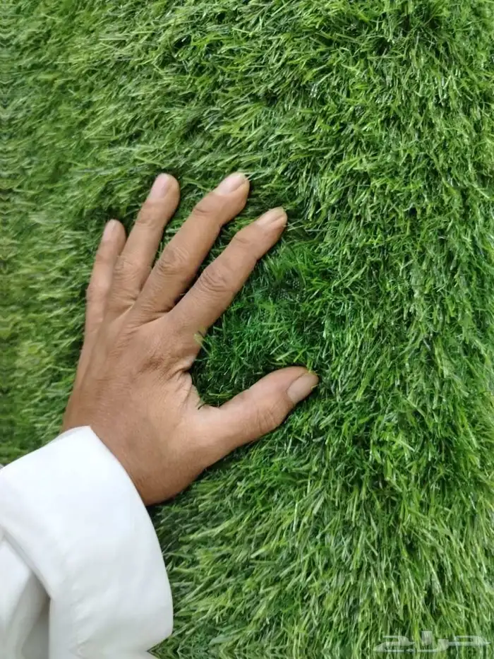 أنجيلا ثايل عشب زراعي صناعي 19