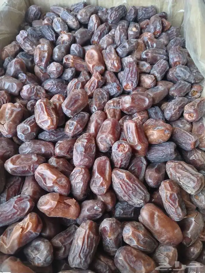 خضري فااخر 1