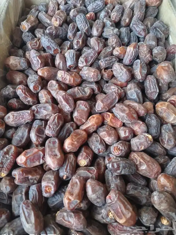 خضري فااخر 0