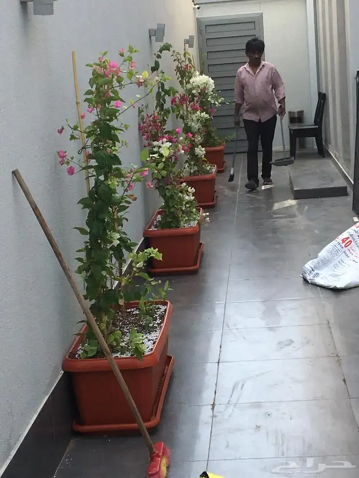 تنسيق الحدائق المنزلية 27