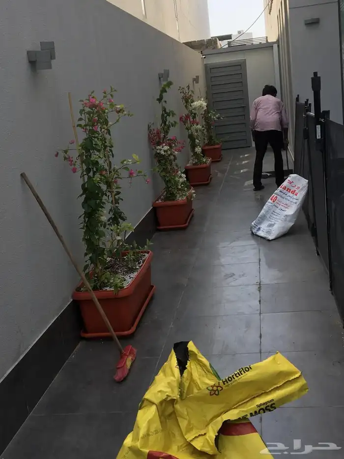 تنسيق الحدائق المنزلية 23