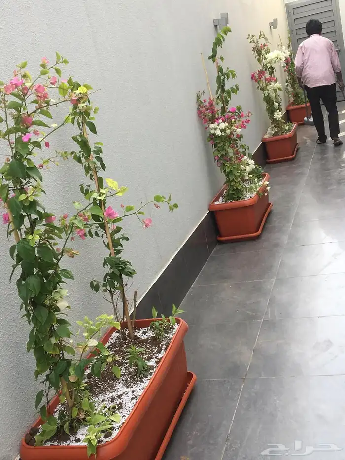 تنسيق الحدائق المنزلية 26