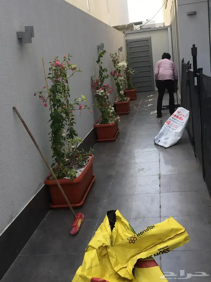 تنسيق الحدائق المنزلية 24