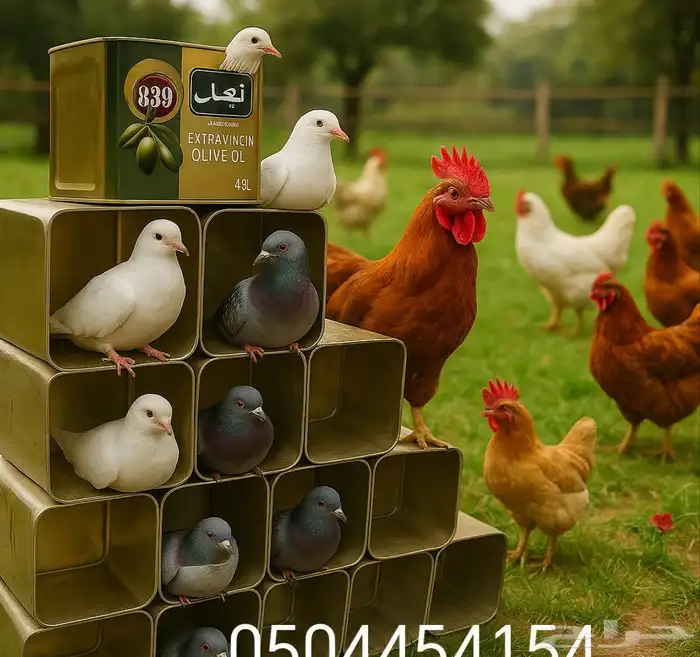 تنك حديد للبيع بيوت للحمام او الدجاج 5