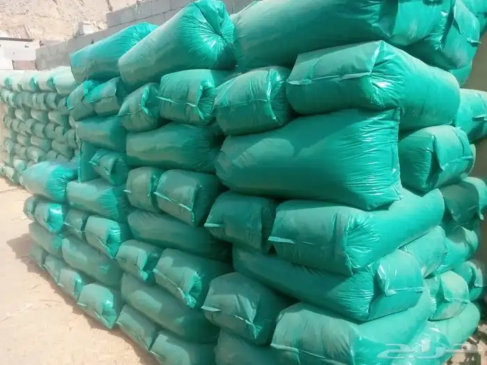 نشاره خشب الدجاج 1