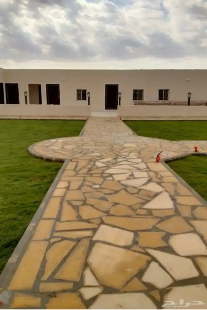ارخص عشب طبيعي 5