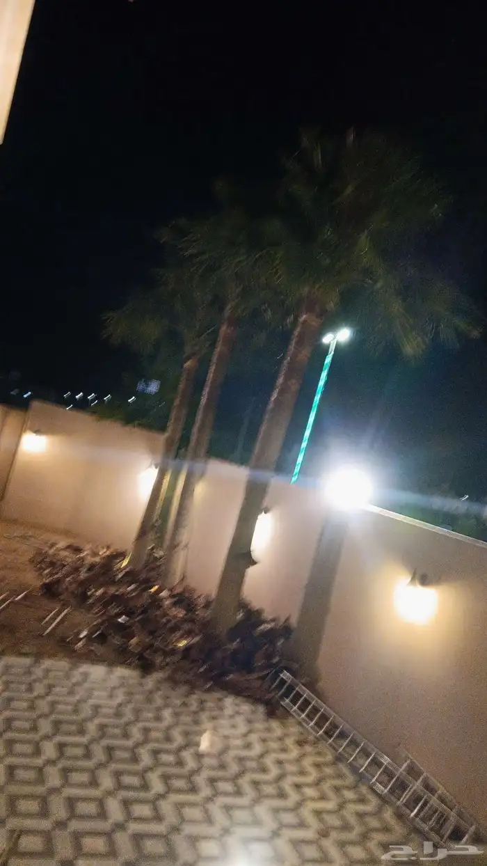 يوجد لديناء جميع انواع النخيل الزينه والعربي وجميع انوع 4