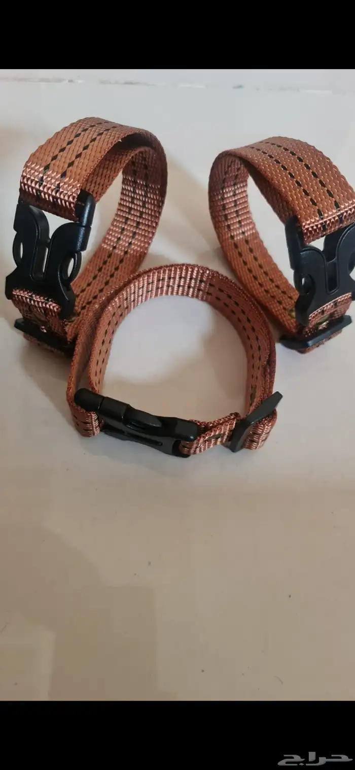 طووق غنم بهم رخال حري نعيم ماعز حريات نجد دهم بيشي صنف عوارض 2