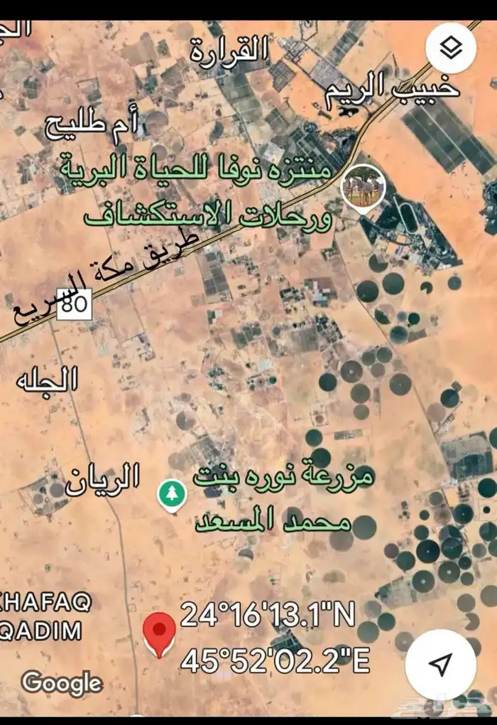 ارض للايجا 10 الاف متر في الجله 3