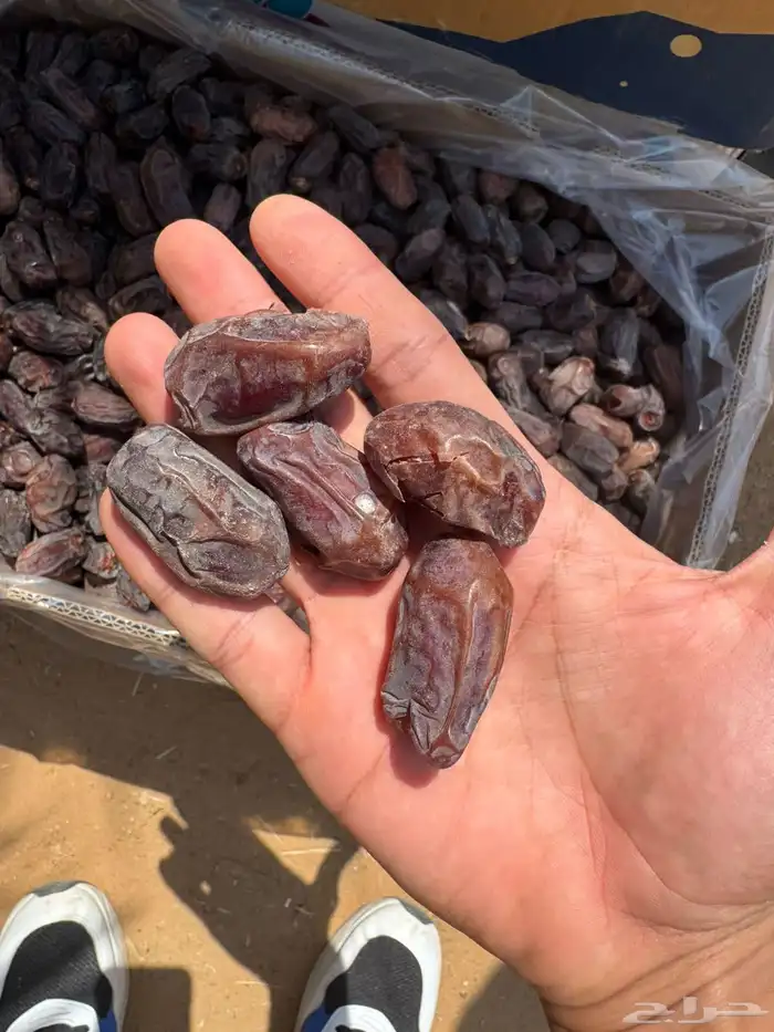 ابو ناصر لتوريد جميع انواع التمور الفخر والتصدير الي جميع ال 3