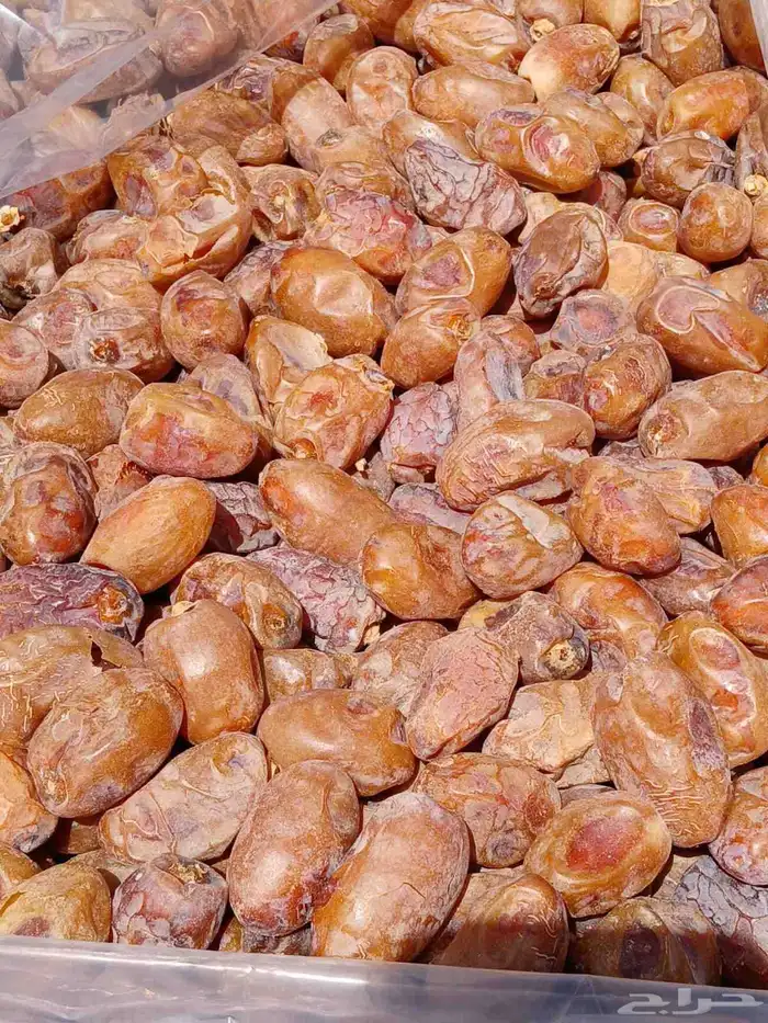 تمور 0