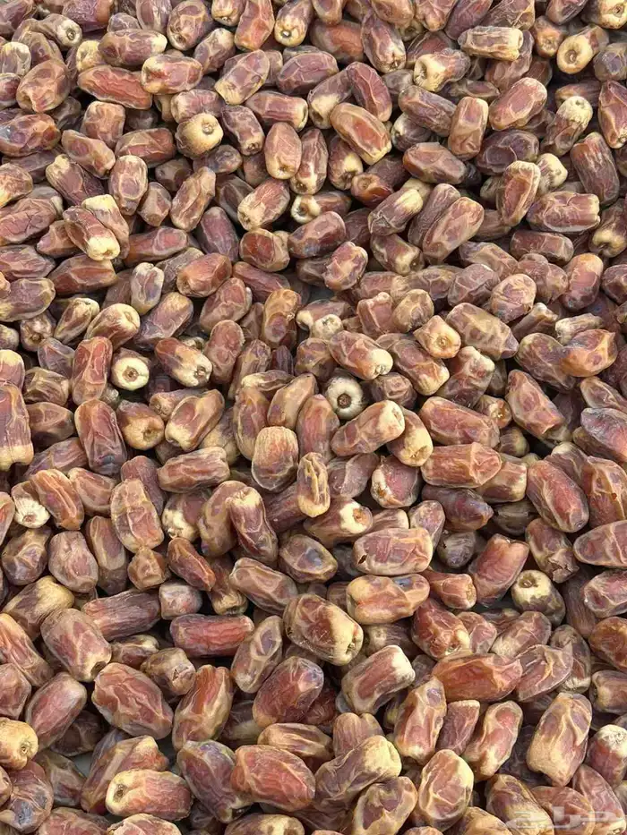 تمور 4