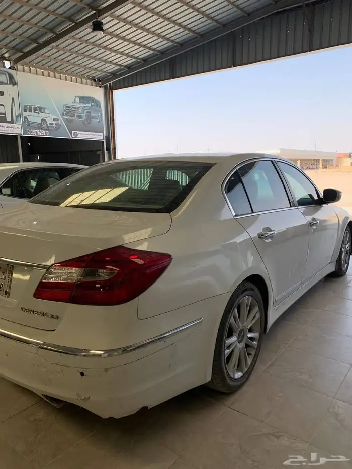 جنسس بنزين 2013 5