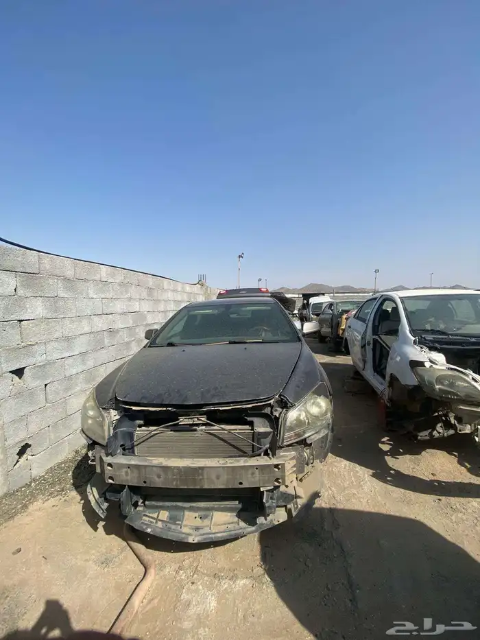 ماليبو 2011. 1