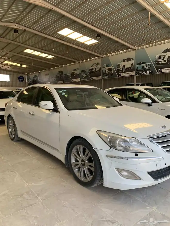 جنسس بنزين 2013 1