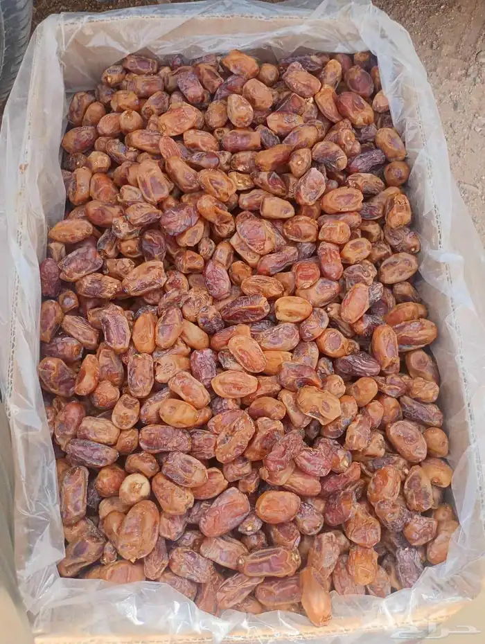 تمر خلاص للبيع 0