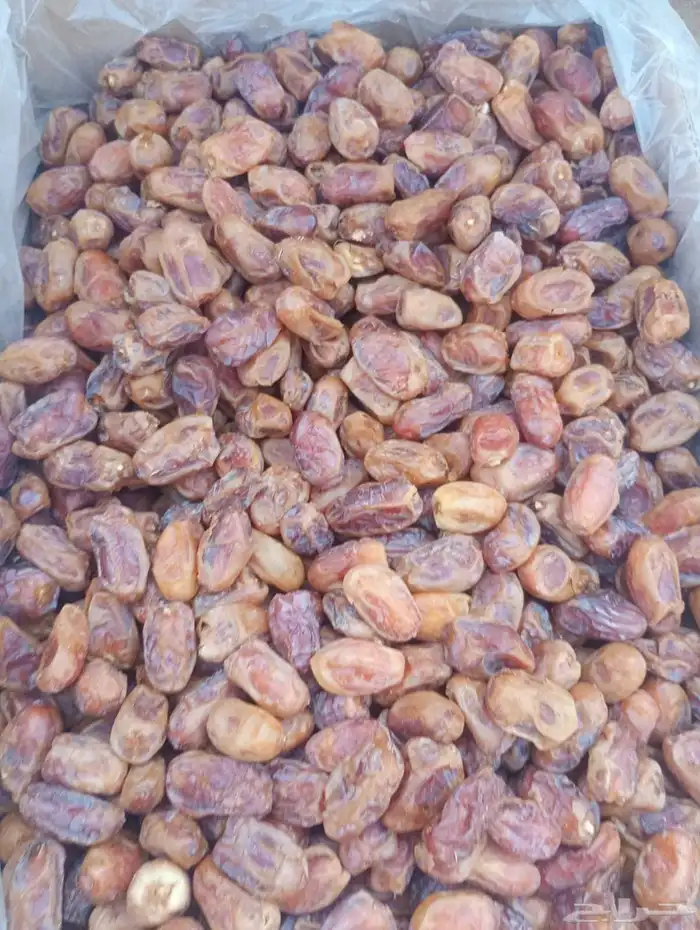 تمر خلاص للبيع 1