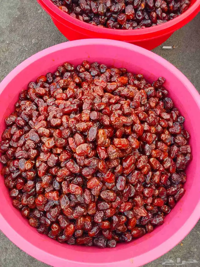 تمور حائل الفاخره 8