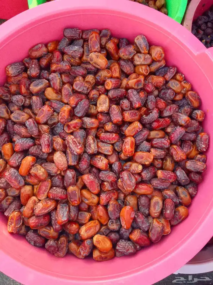 تمور حائل الفاخره 3