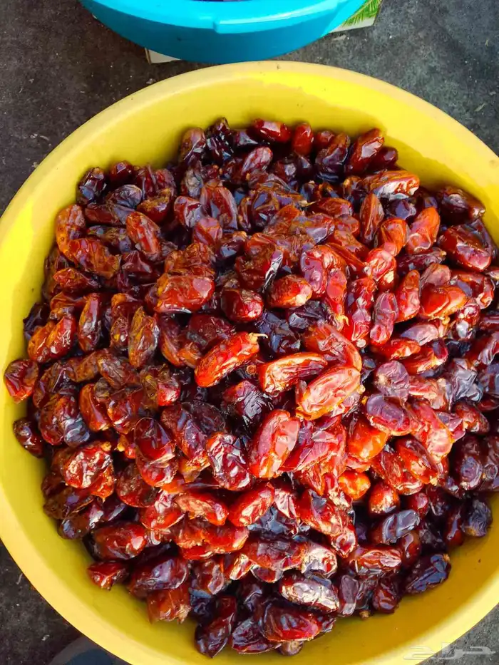 تمور حائل الفاخره 6