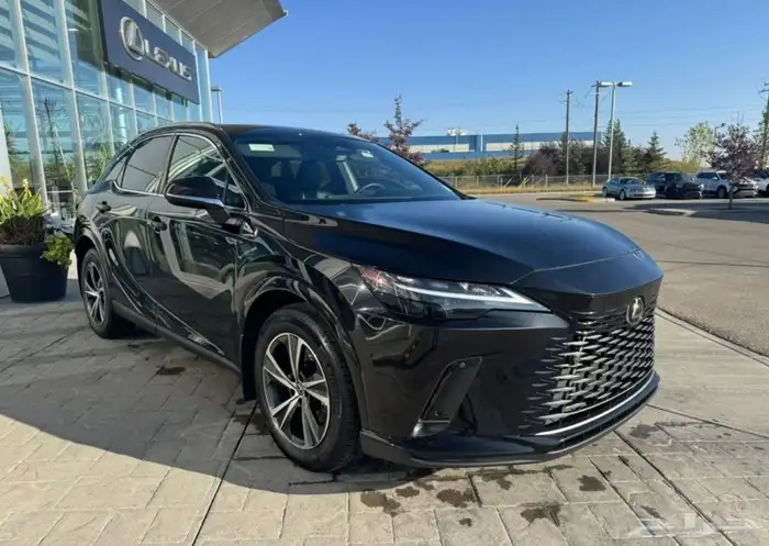 2024 Lexus RX 350 0