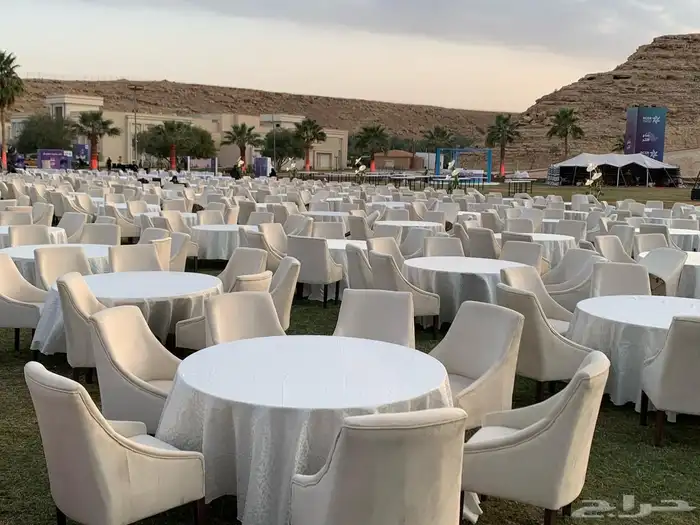 تاجير كراسي جلد 8