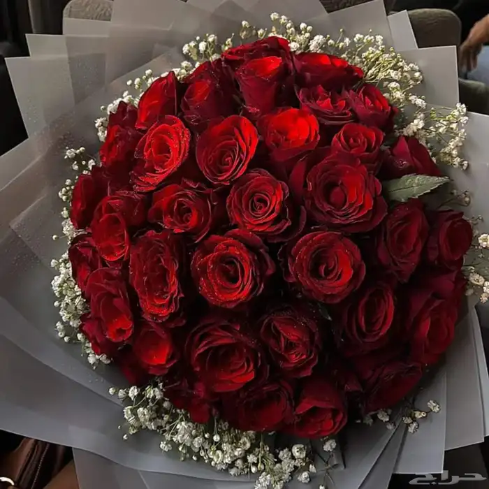 باقه ورد كبيره باقات ورد كبيره هدايا ورد طبيعي محل ورد ورد 5