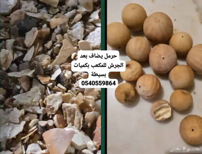 شعير مجروش جرش خشن 2