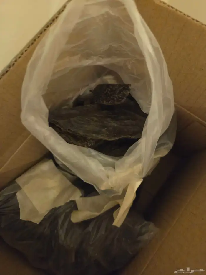 كلمتان ab محسن 0