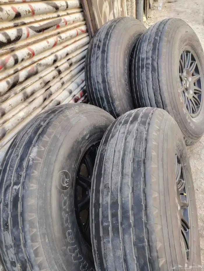 جنوط برأيد 0