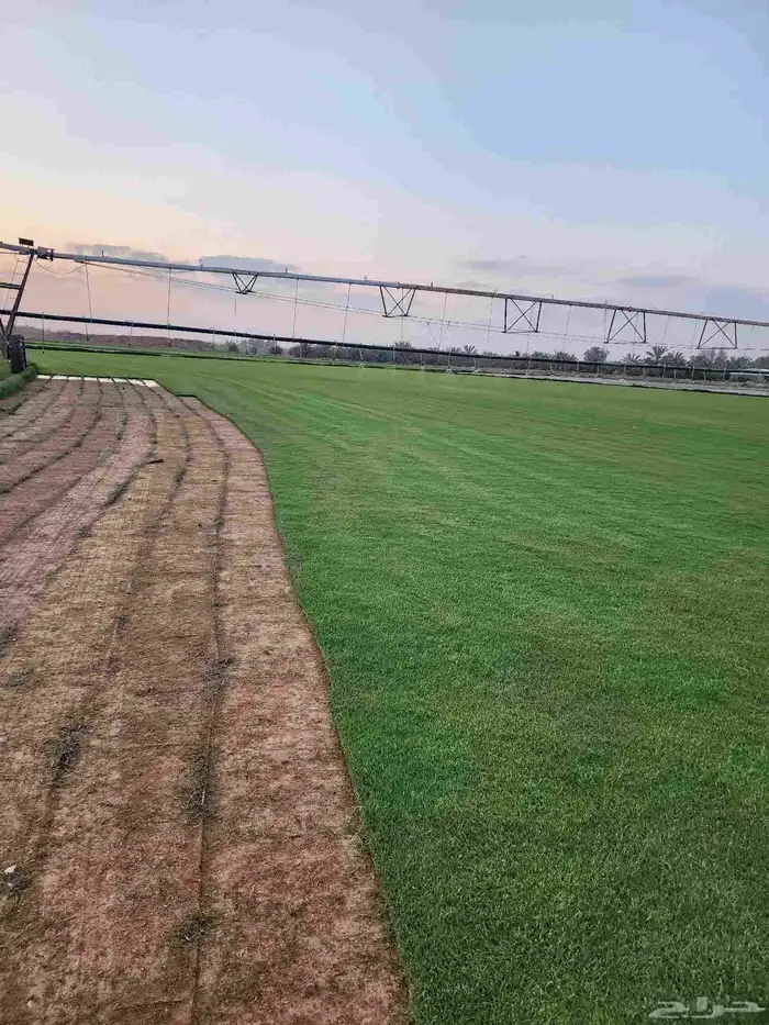 ثيل طبيعي امريكي 6