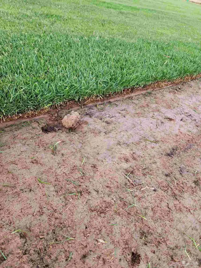 ثيل طبيعي امريكي 8