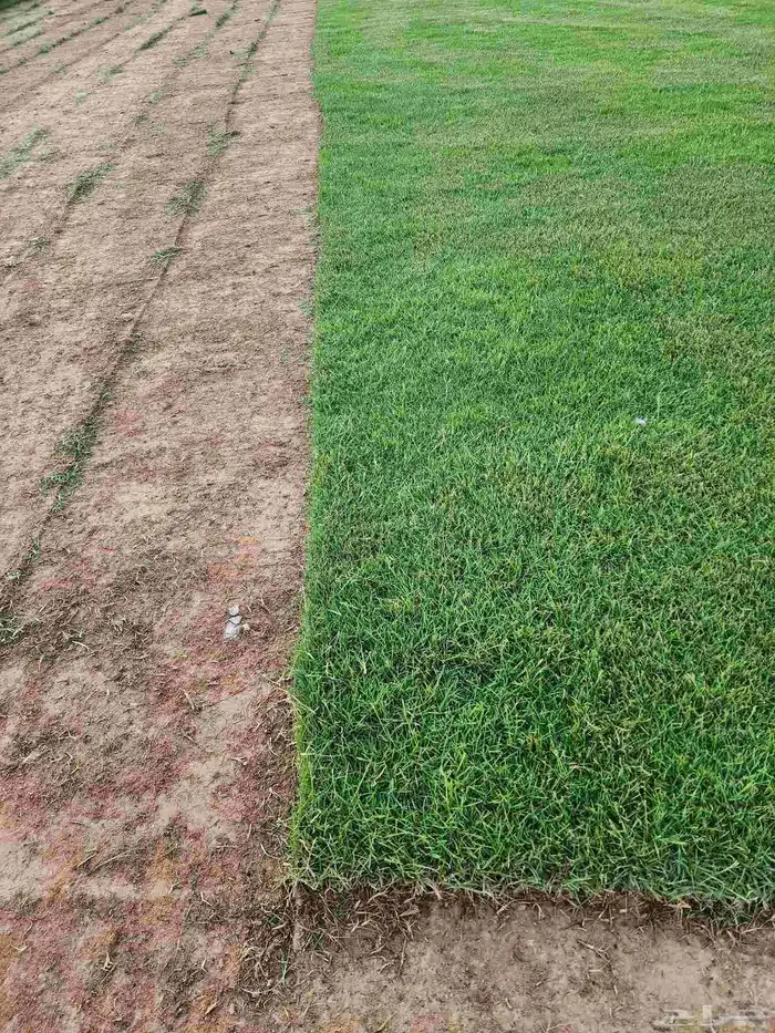 ثيل طبيعي امريكي 7