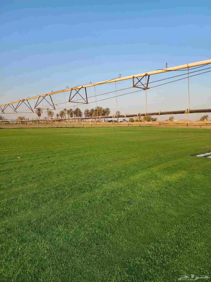 ثيل طبيعي امريكي 5