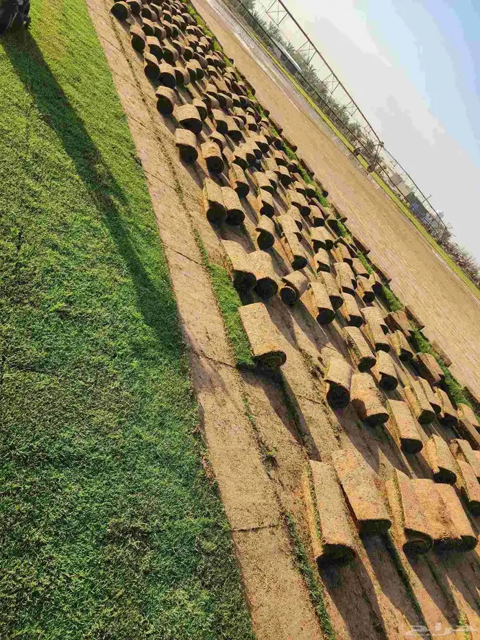 ثيل طبيعي امريكي 3