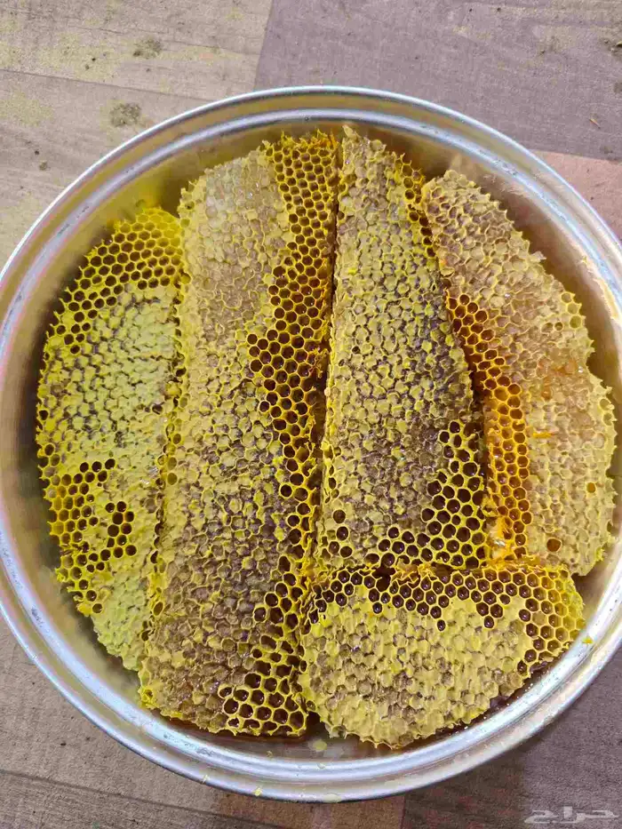 عسل السدر مع القرض 1