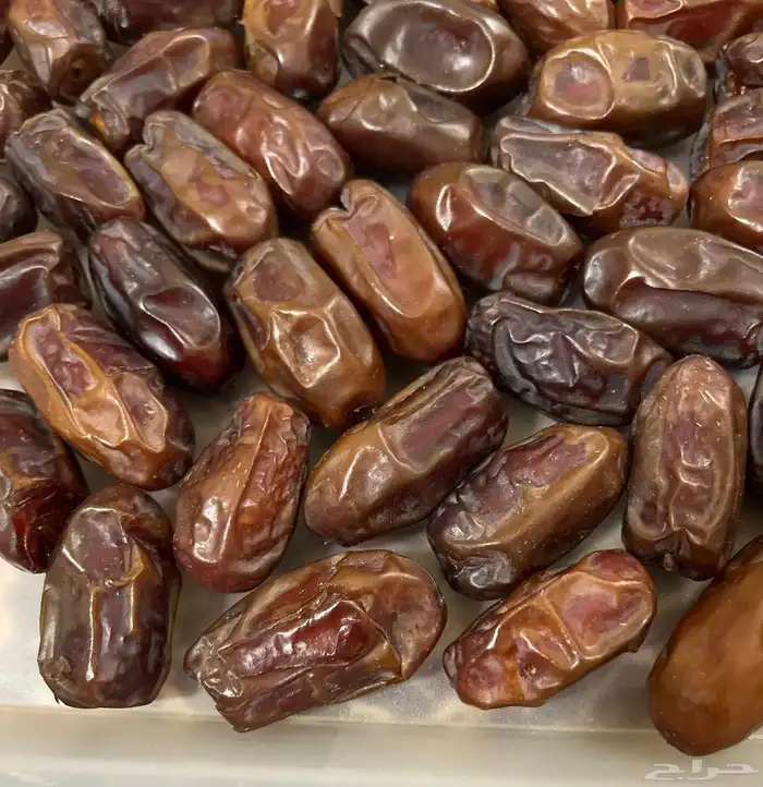 تمور 1