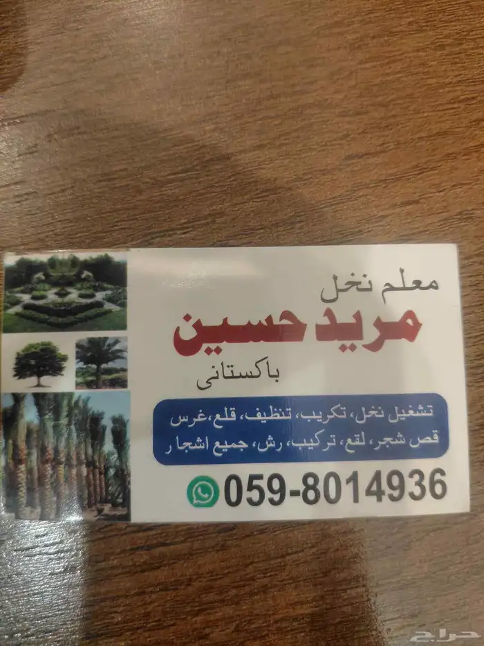 Palm Tree Teacher معلم باكستاني 0