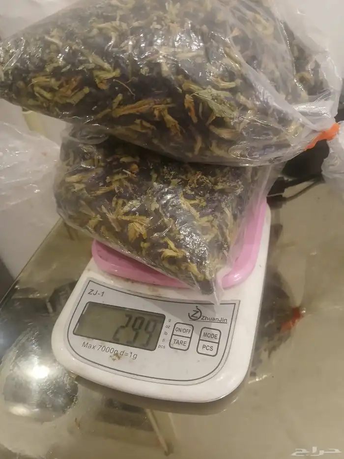 نظارة شمسية ذكية عادية   شاي ازرق   سكوتر كهربا   دباب بحر 12