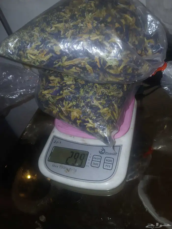 نظارة شمسية ذكية عادية   شاي ازرق   سكوتر كهربا   دباب بحر 13