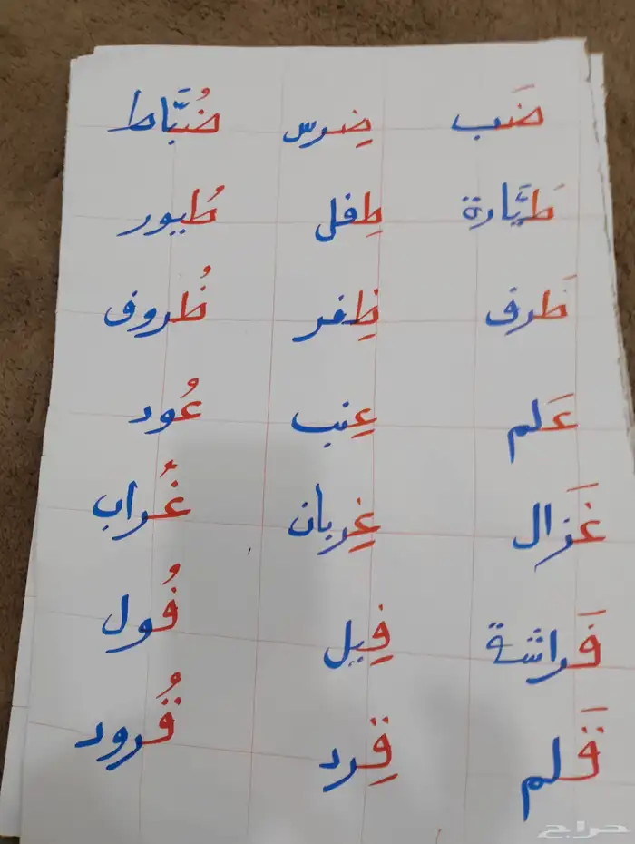 م مدرس تاسيس مصر رياضيا وE وقراء وكتاب ومعالج التاخر الدراسي 0